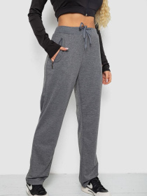 Штаны спортивные Ager модель У-1133264::000000072 Фото