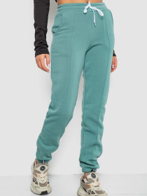 Джоггеры Ager модель У-1133152::000000158 Фото