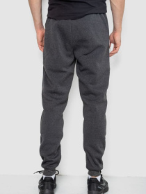 Джоггеры Ager модель У-1132678::000000087 Фото