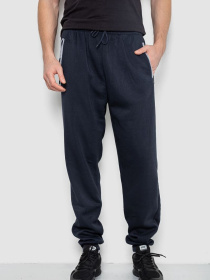 Джоггеры Ager модель У-1132678::000000090 Фото