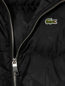 Пуховик Lacoste модель BH4004031 Фото