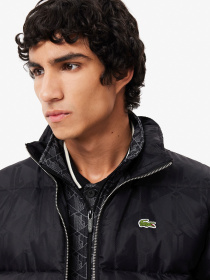 Пуховик Lacoste модель BH4004031 Фото