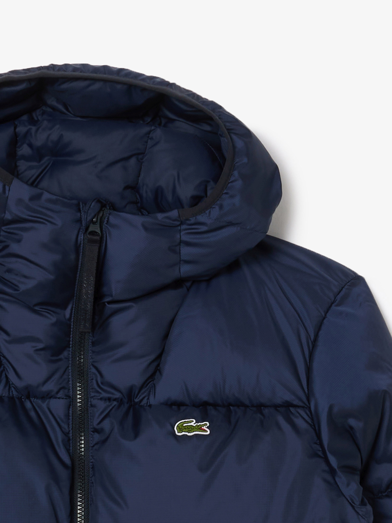 Зимова куртка Lacoste модель BH2905166 Фото