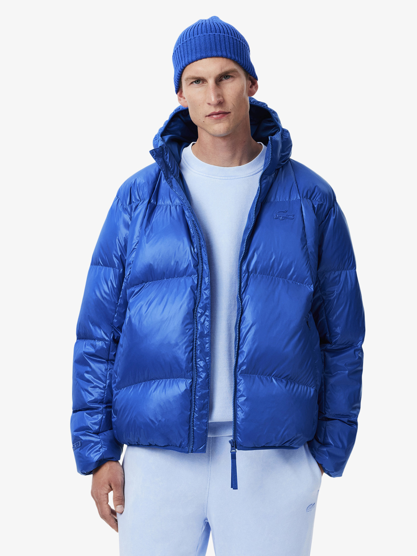 Пуховик Lacoste модель BH2889HJM Пуховик Lacoste модель BH2889HJM Фото