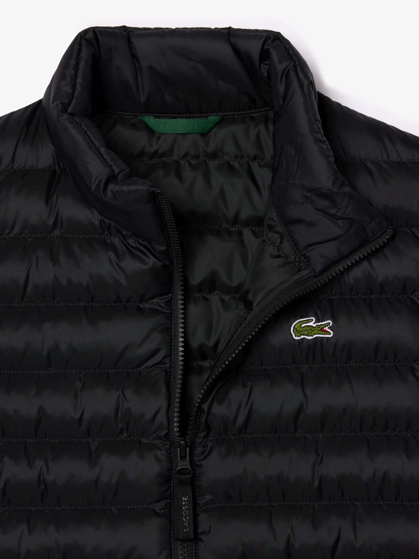 Утеплений жилет Lacoste модель BH2886031 Фото