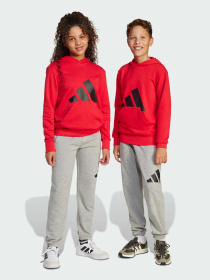 Джогери Adidas модель JD2092 Фото