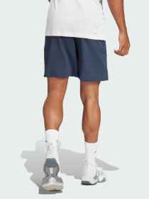 Шорты спортивные Adidas модель JN1991 Фото