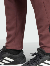 Штани спортивні Adidas модель JC6249 Фото