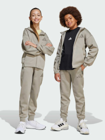 Джоггеры Adidas ZNE модель JD0007 Фото