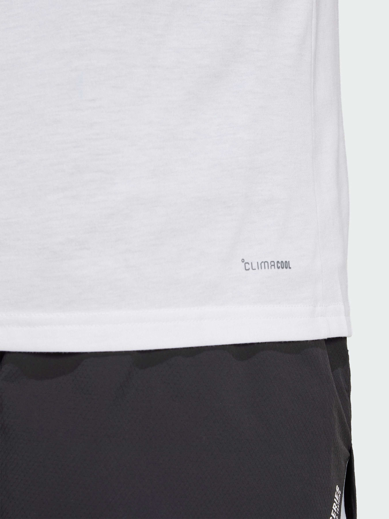 Футболка спортивная Adidas модель JD8232 Фото