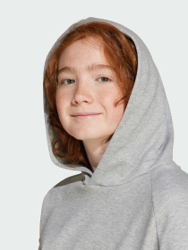 Худи Adidas модель JJ4788 Фото