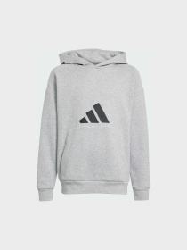 Худи Adidas модель JJ4788 Фото