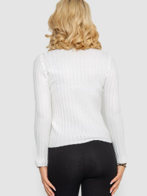 Водолазка Ager модель У-1127439::000000014 Фото