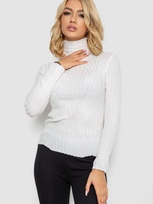 Водолазка Ager модель У-1127439::000000014 Фото