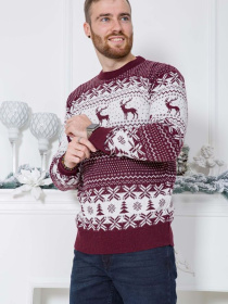 Свитер мужской с оленями 161R712 модель У-1116208::000000029 Фото