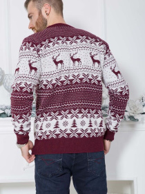 Свитер мужской с оленями 161R712 модель У-1116208::000000029 Фото