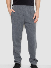 Штани спортивні Ager модель У-1133313::000000072 Фото