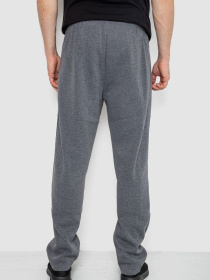 Спортивні штани Ager модель У-1133313::000000072 Фото