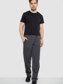 Штаны спортивные Ager модель У-1133313::000000087 Фото