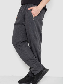 Штаны спортивные Ager модель У-1133313::000000087 Фото