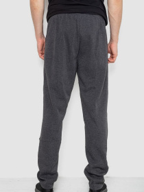 Штаны спортивные Ager модель У-1133313::000000087 Фото