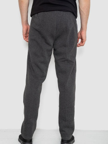 Штаны спортивные Ager модель У-1133328::000000087 Фото