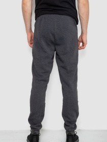 Штаны спортивные Ager модель У-1133329::000000087 Фото