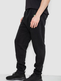 Спортивні штани Ager модель У-1133329::000000096 Фото