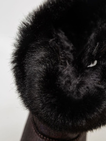 Сапоги Ager модель У-1131505::000000046 Фото