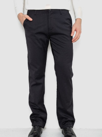 Повседневные штаны Ager модель У-1133303::000000096 Фото