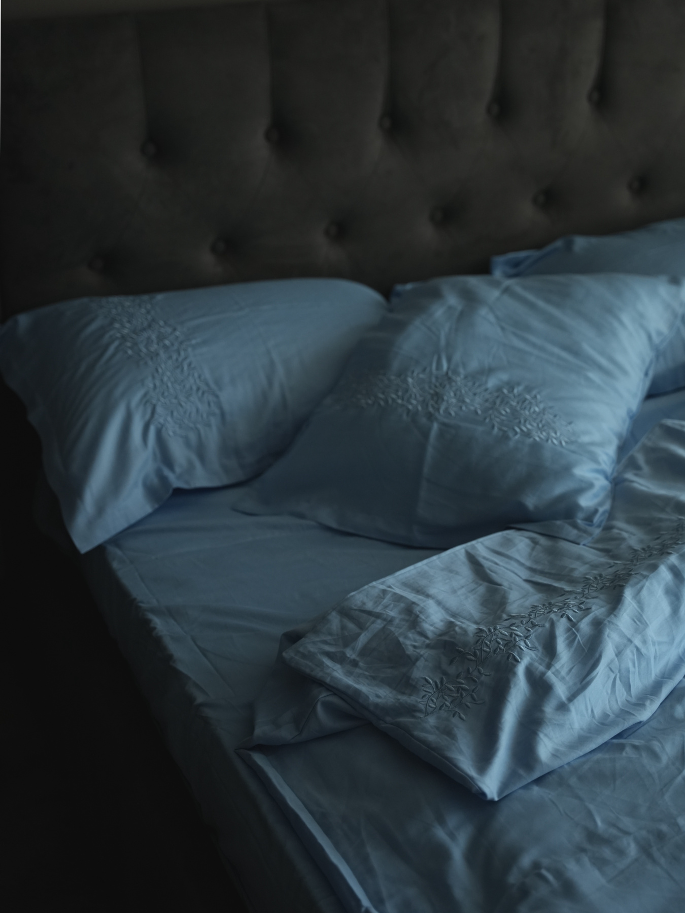 Підковдра небесно-блакитна з вишитими гілками Cozy модель 10082616 Фото