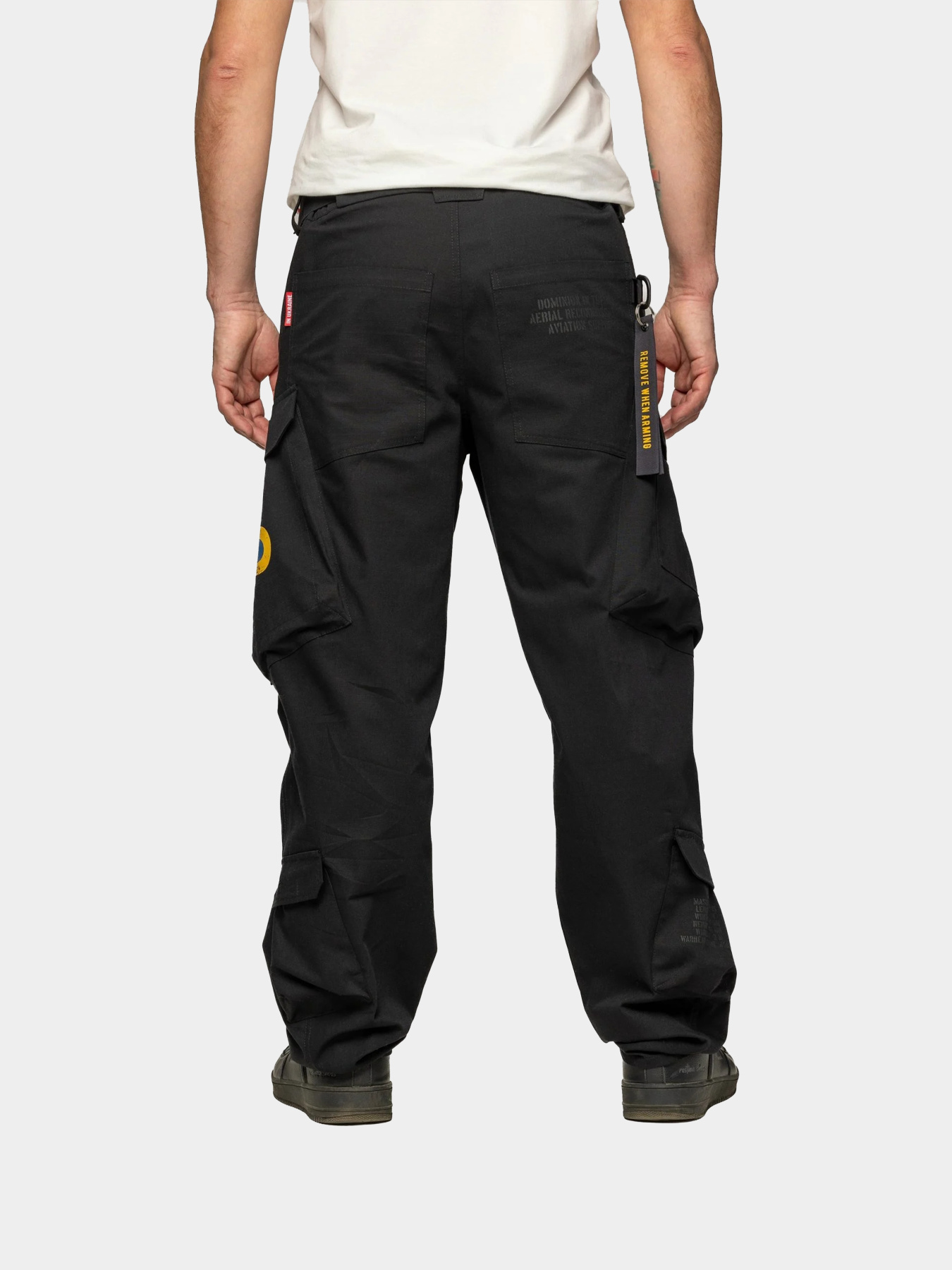 Карго Авіація Галичини модель 00-003348 Фото