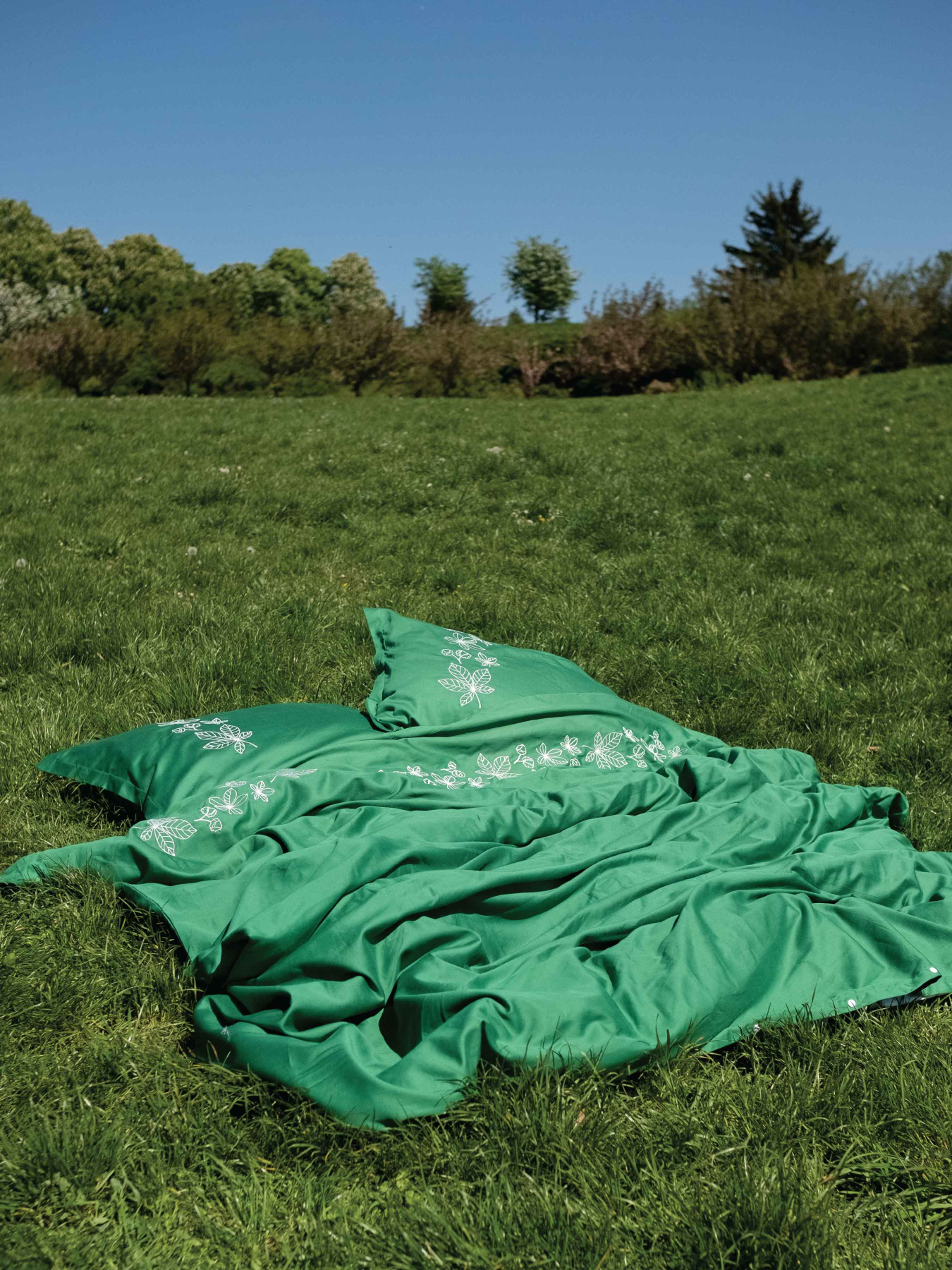 Підковдра зелена з вишитими молочними каштанами Cozy модель 9261984 Фото