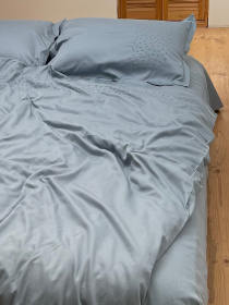 Підковдра сіро-блакитна з вишитими зірками Cozy модель 8009399 Фото