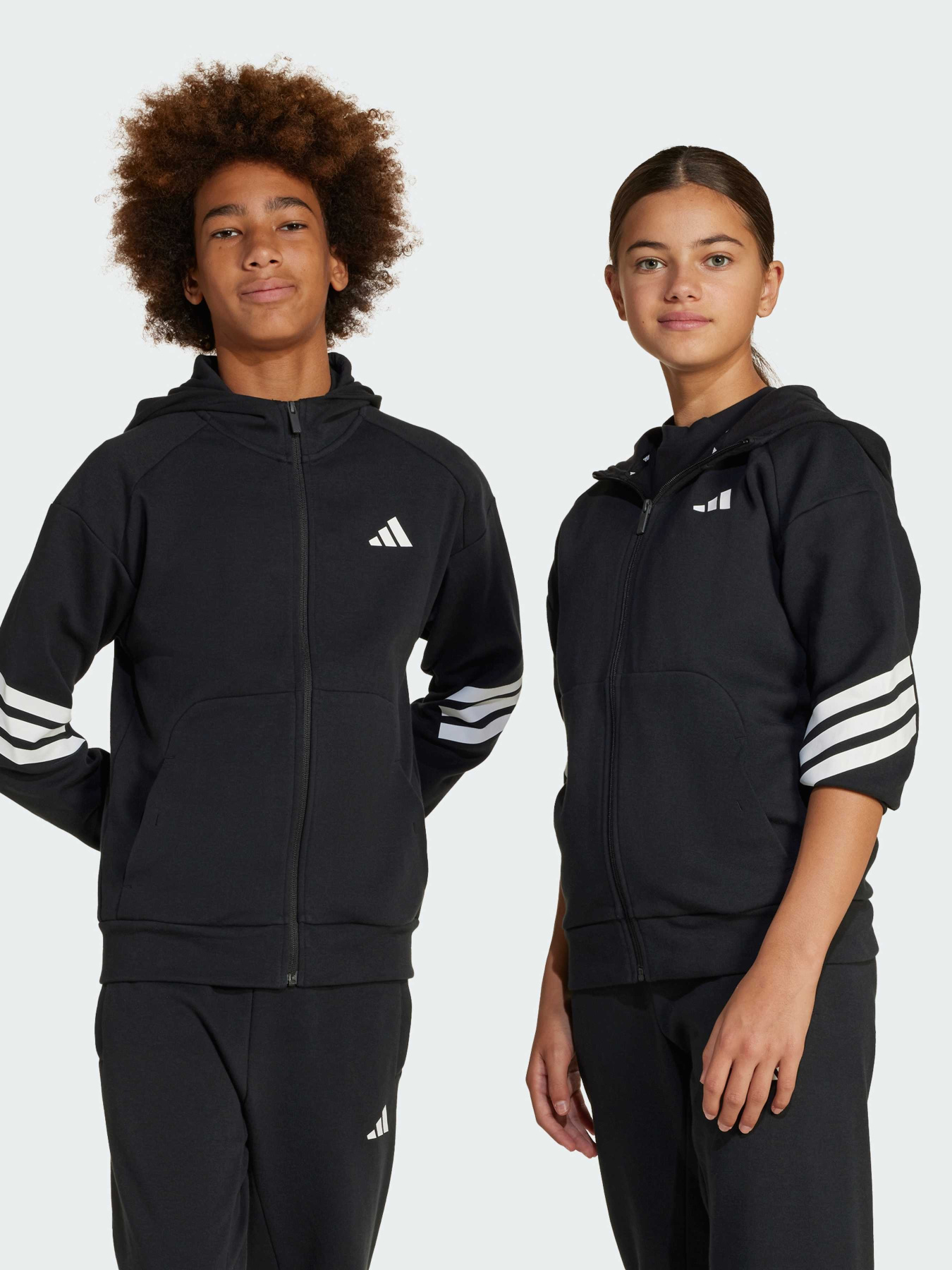 Кофта Adidas Культовые силуэты модель JJ4801 Фото