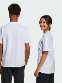 Футболка Adidas Культовые силуэты модель JC7538 Фото