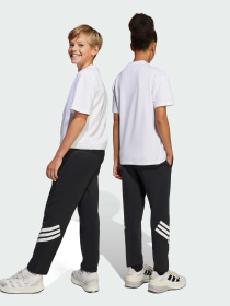 Штани повсякденні Adidas Культові силуети модель JJ4808 Фото