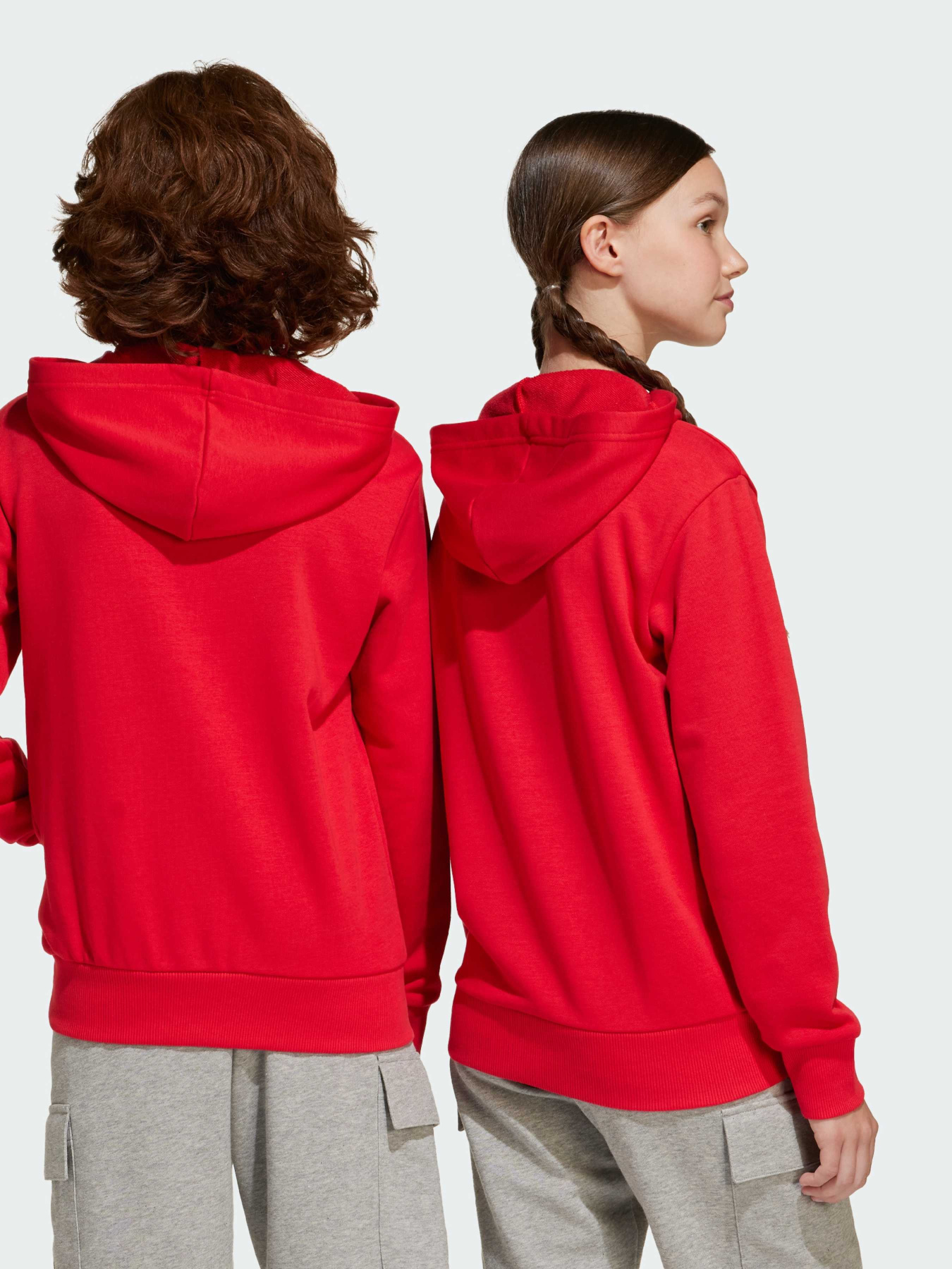 Худи Adidas Культовые силуэты модель JE1389 Фото