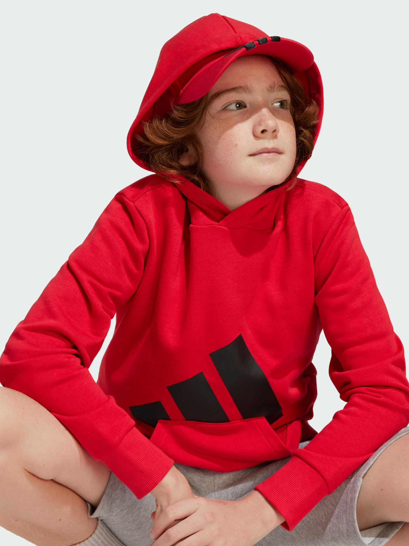 Худи Adidas Культовые силуэты модель JE1389 Фото