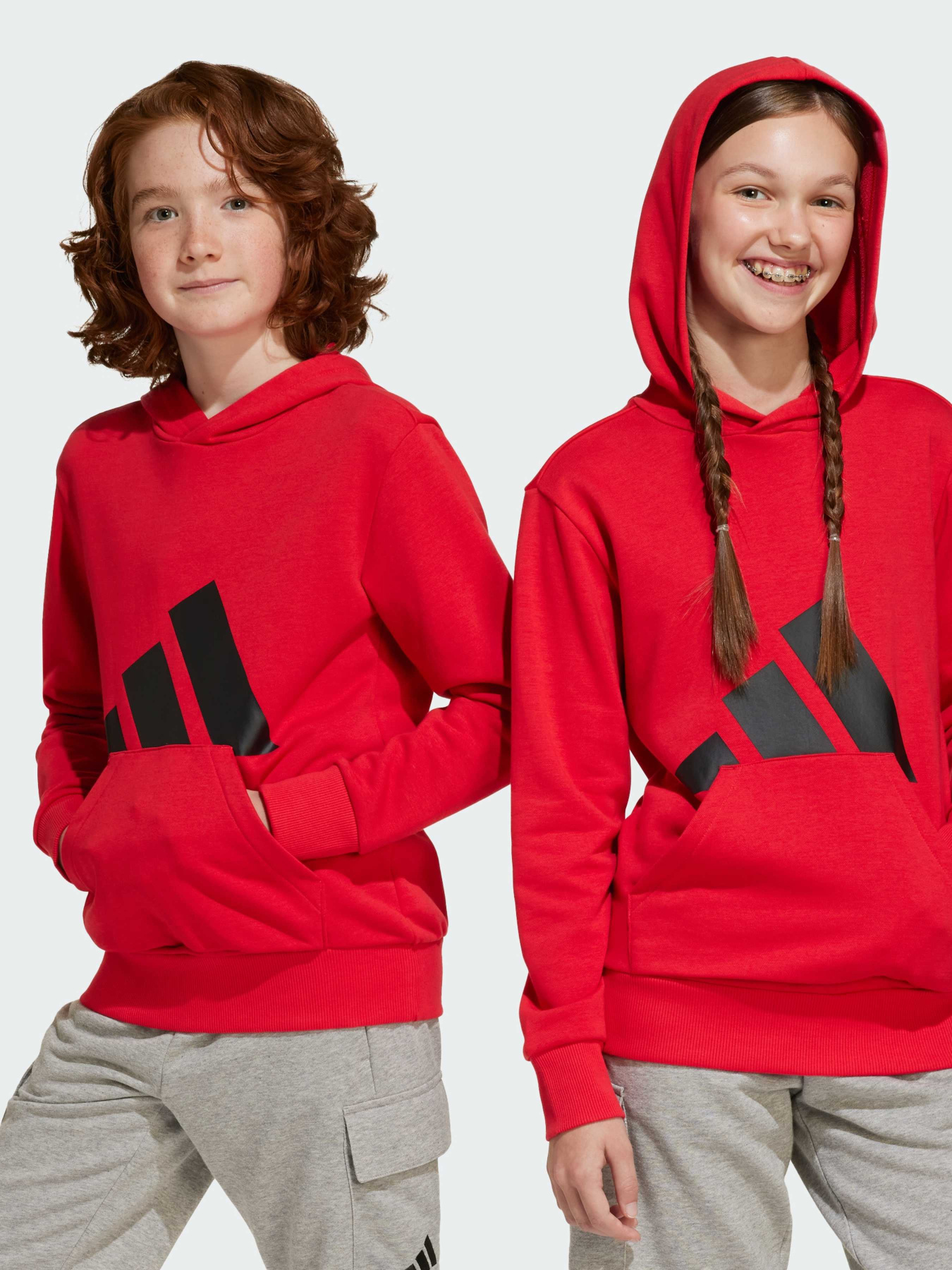 Худи Adidas Культовые силуэты модель JE1389 Фото