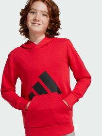 Худи Adidas Культовые силуэты модель JE1389 Фото