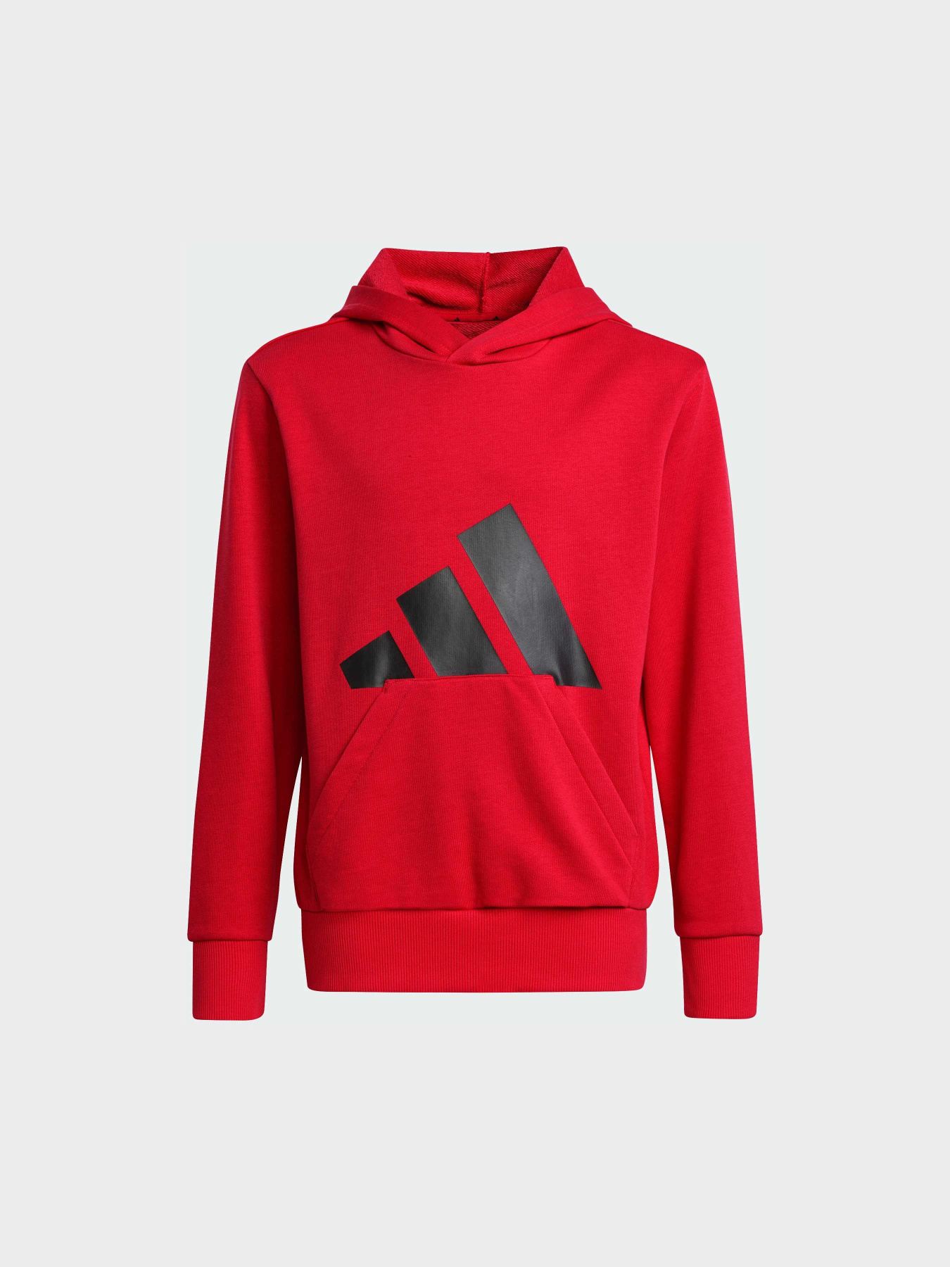 Худи Adidas Культовые силуэты модель JE1389 Фото