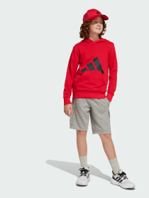 Худи Adidas Культовые силуэты модель JE1389 Фото