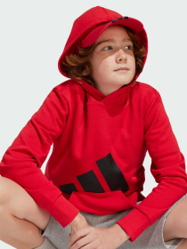 Худи Adidas Культовые силуэты модель JE1389 Фото