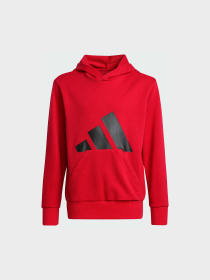 Худи Adidas Культовые силуэты модель JE1389 Фото