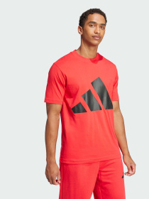 Футболка Adidas Культовые силуэты модель JE8934 Фото