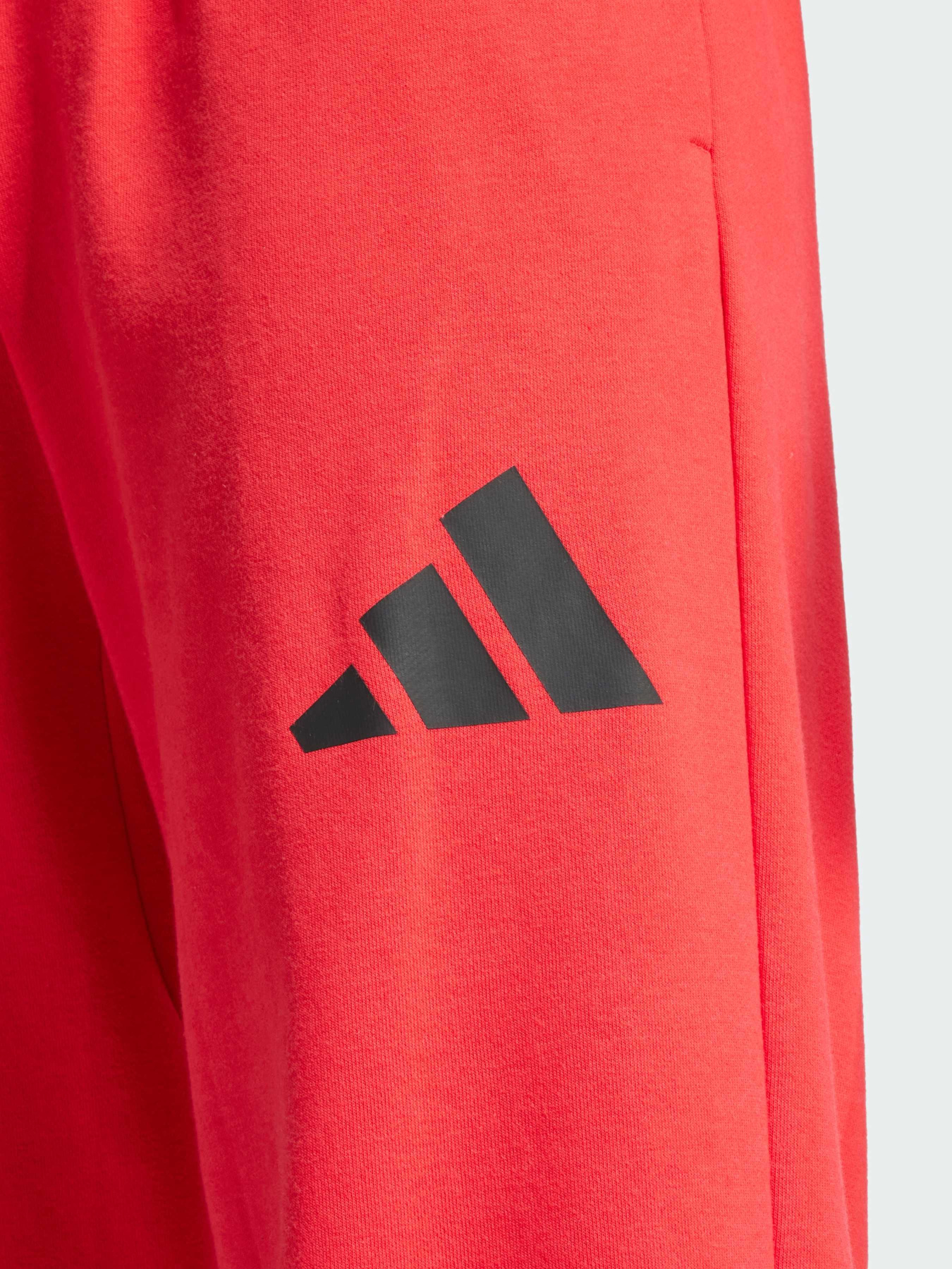 Повседневные штаны Adidas модель JF3601 Фото