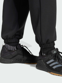 Штаны спортивные Adidas Clima модель JP2644 Фото