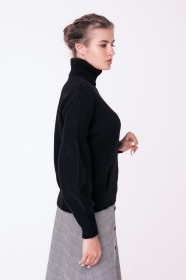 Свитер Sewel модель SW529010000 Фото