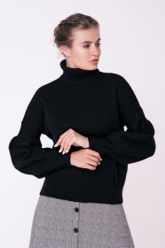 Светр Sewel модель SW529010000 Светр Sewel модель SW529010000 Фото